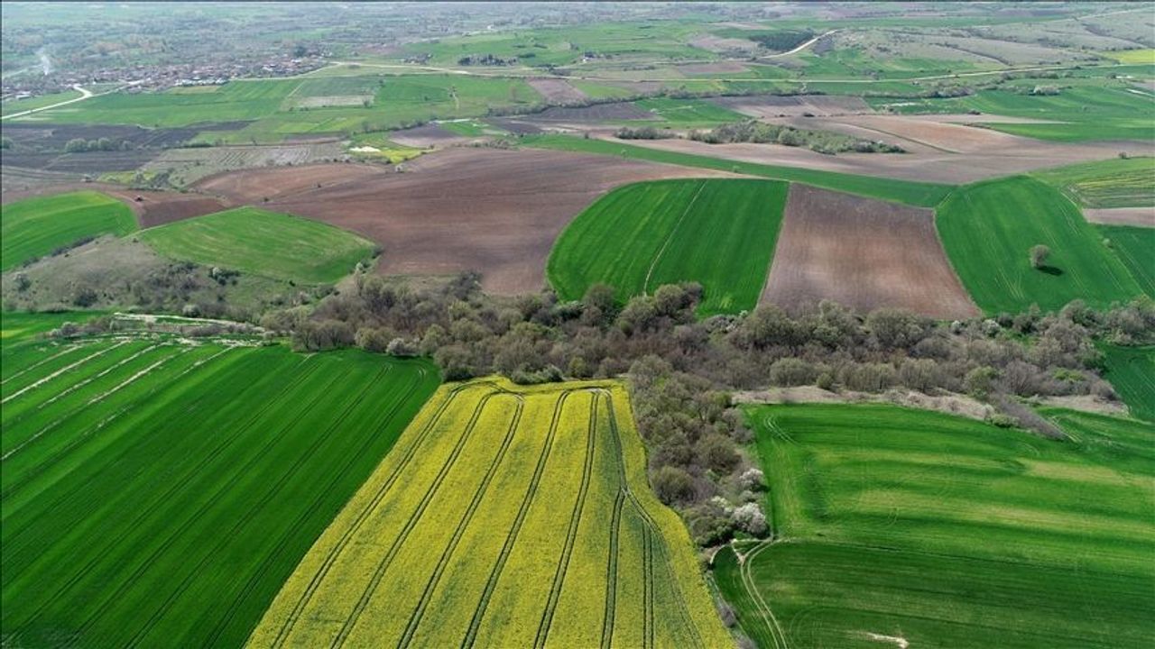 İzmir’de 5 mahalleyi kapsayan arazi toplulaştırma kararı resmi gazete’de yayımlandı! 2026 - adalet - iustitia. Bg İzmir haberleri i̇zmir’de 5 mahalleyi kapsayan arazi toplulaştırma kararı resmi gazete’de yayımlandı! 2026 resmi gazetede yayimlandi izmirde arazi duzenlemesi i̇zmir haberleri iustitia. Bg resmi gazete'de yayımlandı: bergama’da toplulaştırma başlıyor 18 mart 2026 tarihli ve 11099 sayılı... Iustitia. Bg i̇zmir’de 5 mahalleyi kapsayan arazi toplulaştırma kararı resmi gazete’de yayımlandı! 2026 2026-03-20 12:15:00 adalet - iustitia. Bg i̇zmir haberleri