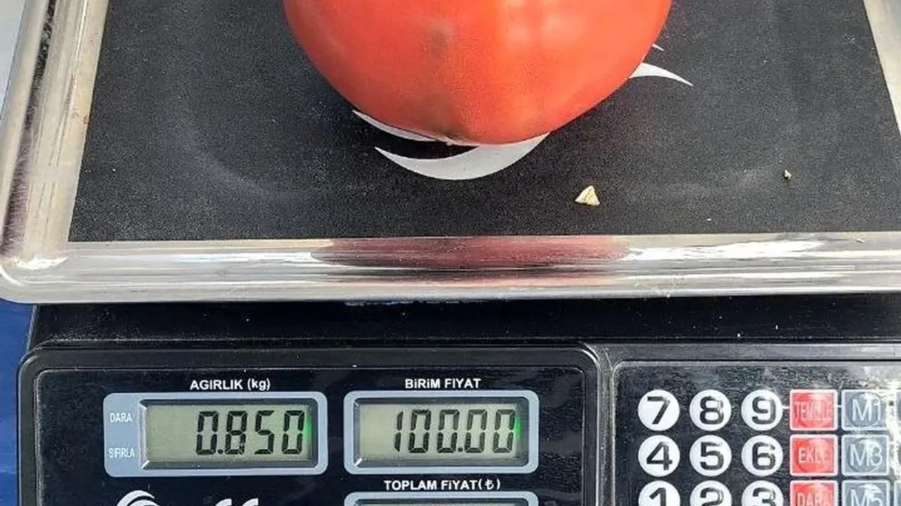 Aydın'da pazarda 850 gramlık dev domates: Büyük ilgi gördü!