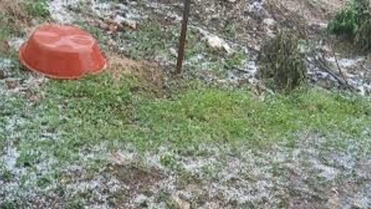Manisa'da dolu yağışı: Tarım arazileri hasar gördü