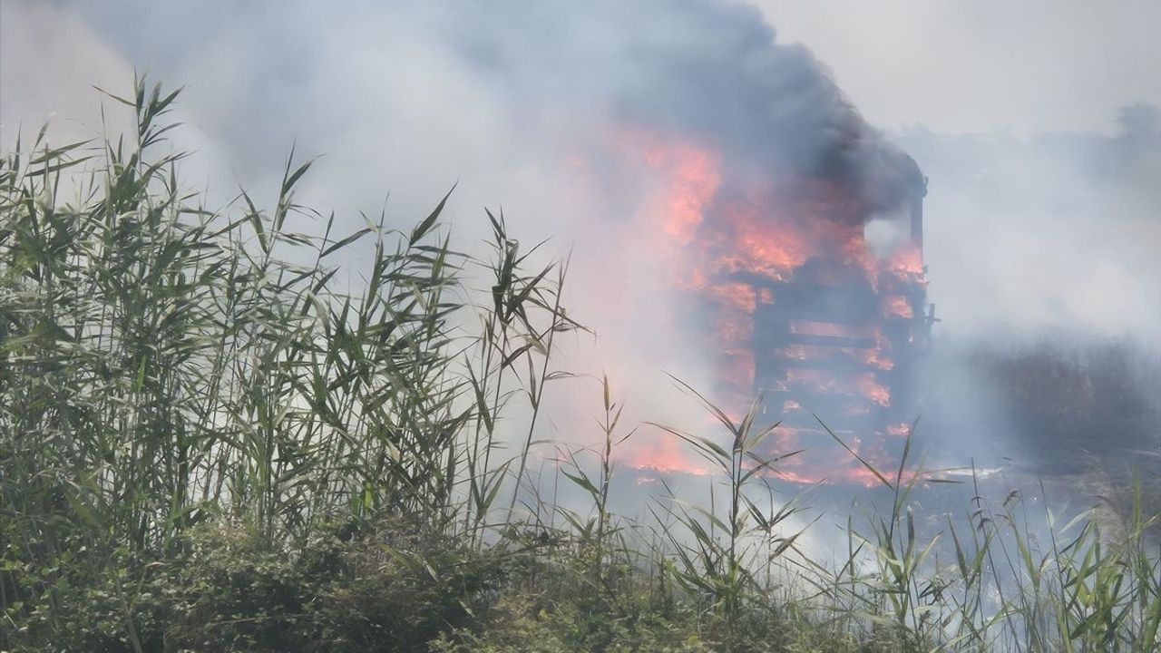 Aydın'da korkutan yangın: Tarım arazisine sıçradı!
