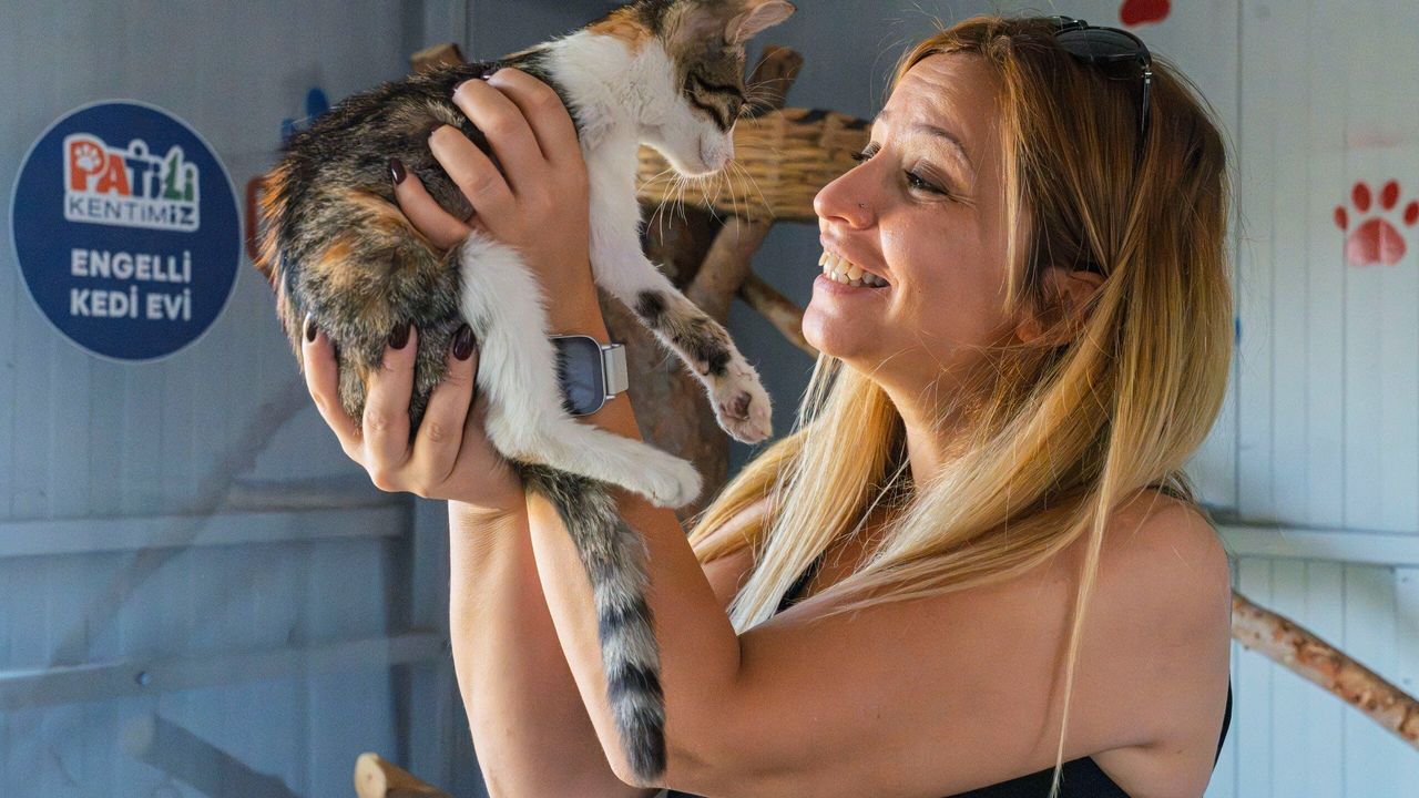 В Измире открыт приют для кошек с постоянными увечьями, не способных к жизни на улице