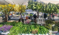 Ege'de Dev Buluşma: 15. Alaçatı Ot Festivali Dünya Şeflerini Ağırlıyor!