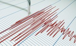 Muş'ta deprem oldu: AFAD duyurdu!