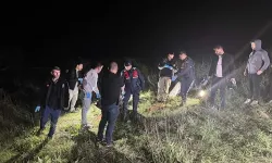 Uşak'ta tarlada erkek cesedi bulundu: Kimliği tespit edildi!
