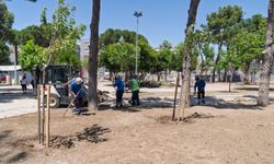 İzmir Buca'da Şirinyer Parkı yenileniyor: Çalışma başlatıldı!