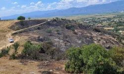 Aydın'da korkutan yangın: Ekipler sevk edildi!