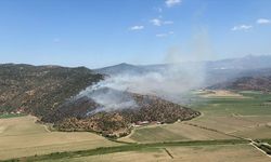 Aydın'da korkutan yangın: Havadan ve karadan müdahale edildi!