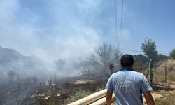 Muğla Bodrum'da korkutan yangın: Çok sayıda ekip sevk edildi!