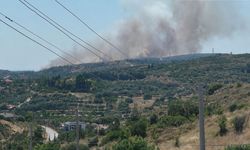 İzmir Çeşme'de korkutan yangın: Havadan ve karadan müdahale başladı!