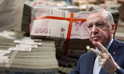 Cumhurbaşkanı Erdoğan: Tarımsal üretimde rekor bekliyoruz, çiftçiye destek artacak!