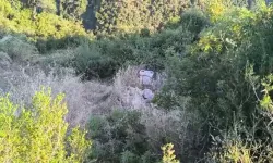 Manisa'da kaza: 4 çocuk babası Bayram Doğru hayatını kaybetti!