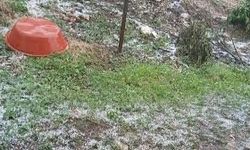 Manisa'da dolu yağışı: Tarım arazileri hasar gördü!