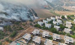 İzmir Dikili'de orman yangını: Alevler sitelere ulaştı!