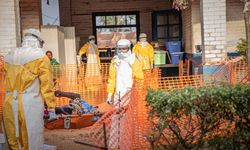 Fransa'da ebola alarmı: Doktorda ebola vakası görüldü!