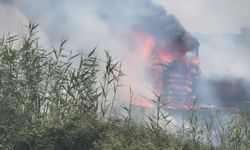 Aydın'da korkutan yangın: Tarım arazisine sıçradı!