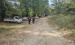 Aydın'da orman yangını yasağına uymayanlara ceza!