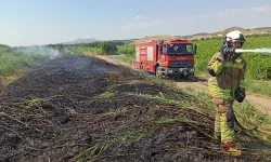 Manisa'da 24 saatte 50 yangın: Ekipler müdahale etti!