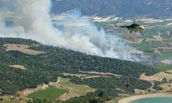 Manisa'da orman yangını: Havadan ve karadan müdahale sürüyor!
