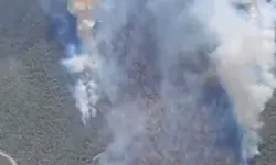 Manisa Akhisar'da orman yangını başladı: Çok sayıda ekip müdahale ediyor!