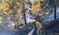 Aydın'da orman yangını: Havadan ve karadan müdahale edildi!