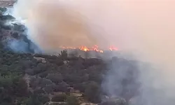 İzmir Bornova’da Homeros Vadisi’nde orman yangını!