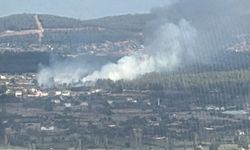 Muğla’da orman yangını: Havadan ve karadan müdahale ediliyor!