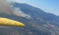 İzmir'de makilik alanda korkutan yangın: Çok sayıda ekip müdahale ediyor!