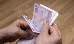 Seyahat Edecek Vatandaşlara Açıklama: Son Gün 20 Şubat