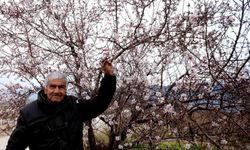 Manisa’ya erken gelen bahar üzüm üreticilerini endişelendirdi