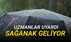 Uzmanlardan korkutan uyarı! Sağanak geliyor!