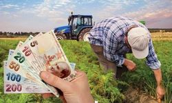 Tarım Bakanlığı'ndan çiftçilere destek ödemeleri başladı! T.C. vatandaşları hemen hesabın kontrol etsin