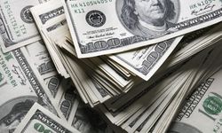 TCMB piyasa anketi: Yılsonu dolar 50 TL’yi bulur mu?