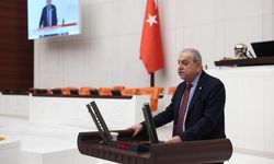 Nalbantoğlu: “Cumartesi Annelerine ve Gezi Tutuklularına selam olsun, Gezi̇ onurumuzdur.” 