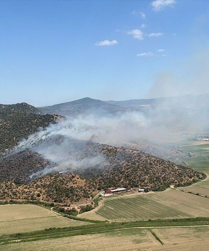 Aydın'da korkutan yangın: Havadan ve karadan müdahale edildi!