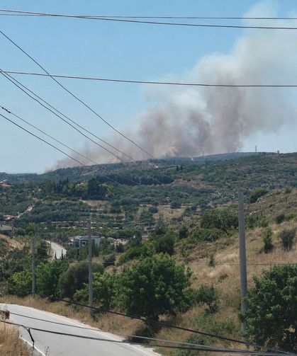İzmir Çeşme'de korkutan yangın: Havadan ve karadan müdahale başladı!
