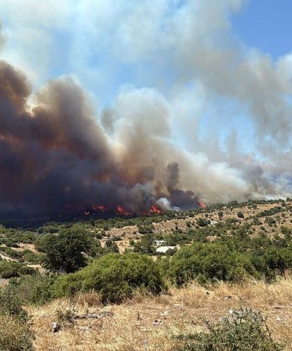 İzmir'de makilik alanda korkutan yangın: Çok sayıda ekip sevk edildi!