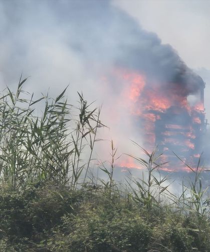 Aydın'da korkutan yangın: Tarım arazisine sıçradı!