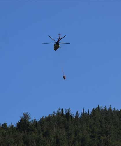 Manisa'da orman yangını: Havadan ve karadan müdahale edildi!