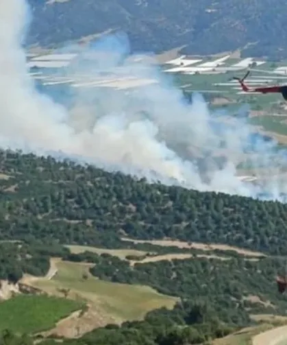 Manisa'da orman yangını: Havadan ve karadan müdahale sürüyor!