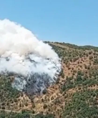 Aydın'da orman yangını: Havadan ve karadan müdahale başladı!