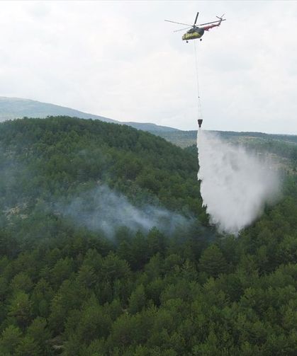 Kütahya'da orman yangını: Havadan ve karadan müdahale başladı!
