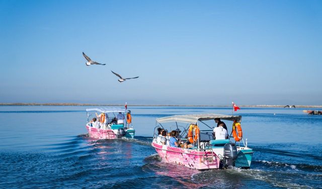 İZDENİZ'den bayramda flamingo tekne turları: Biletler internetten satılacak!