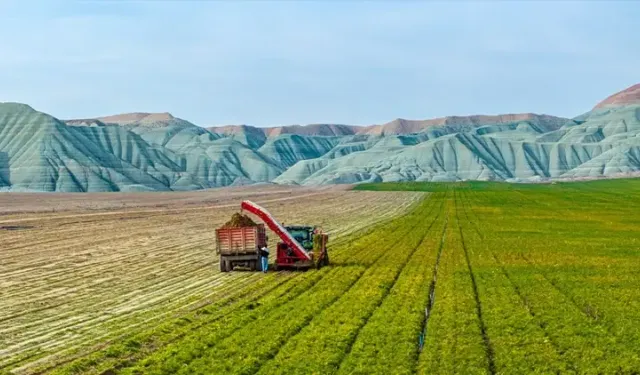 Aydın’ın bazı ilçelerinde arazi toplulaştırma kararı!