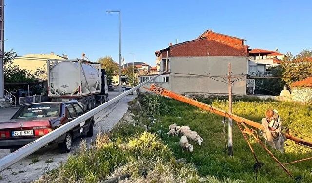 Manisa'da Korku Dolu Anlar: Tır Kablolara Takıldı, Direkler Bir Bir Devrildi!