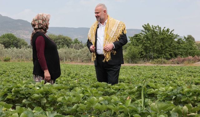 Menemen’de Çilek Festivali heyecanı: Murat Boz ve Derya Bedavacı konser verecek!