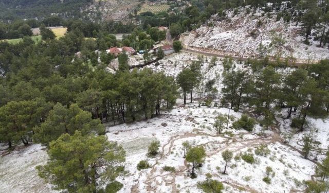 Denizli'de dolu yağışı sera ve tarlalara zarar verdi: Üretici destek bekliyor!