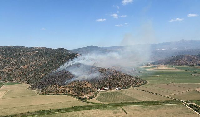 Aydın'da korkutan yangın: Havadan ve karadan müdahale edildi!