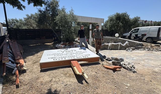 Muğla Bodrum'da kaza: Otomobil, iş yeri tabelasına ve ağaca çarptı!