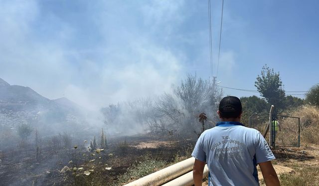 Muğla Bodrum'da korkutan yangın: Çok sayıda ekip sevk edildi!