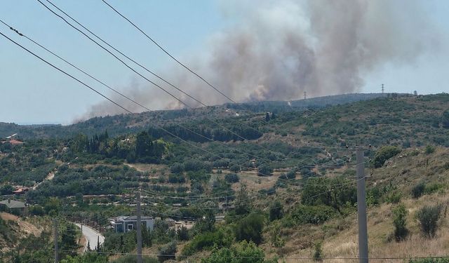 İzmir Çeşme'de korkutan yangın: Havadan ve karadan müdahale başladı!